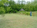 20100529 005